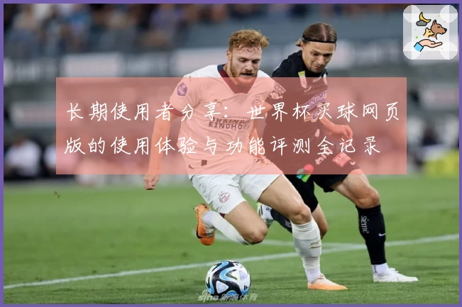 长期使用者分享：世界杯买球网页版的使用体验与功能评测全记录