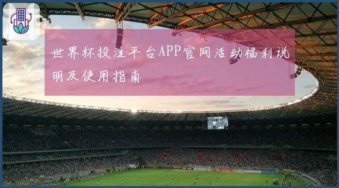 世界杯投注平台APP官网活动福利说明及使用指南