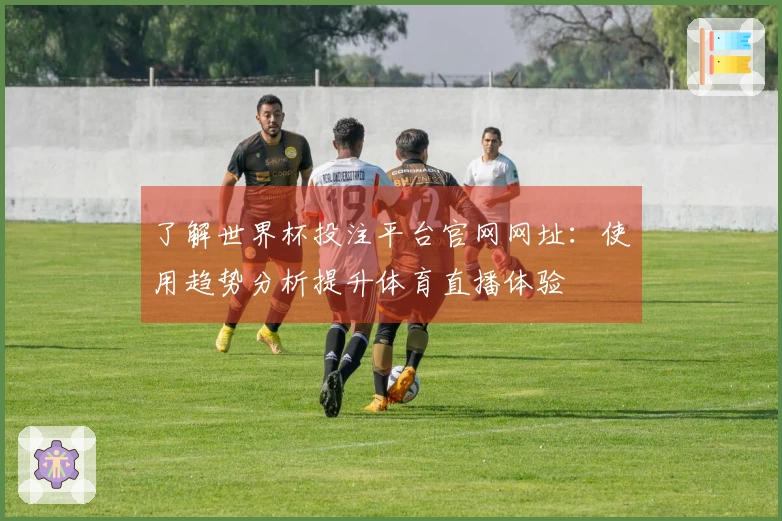了解世界杯投注平台官网网址：使用趋势分析提升体育直播体验