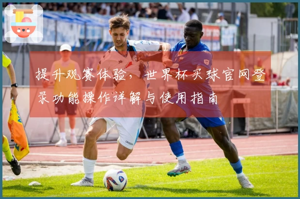 提升观赛体验，世界杯买球官网登录功能操作详解与使用指南