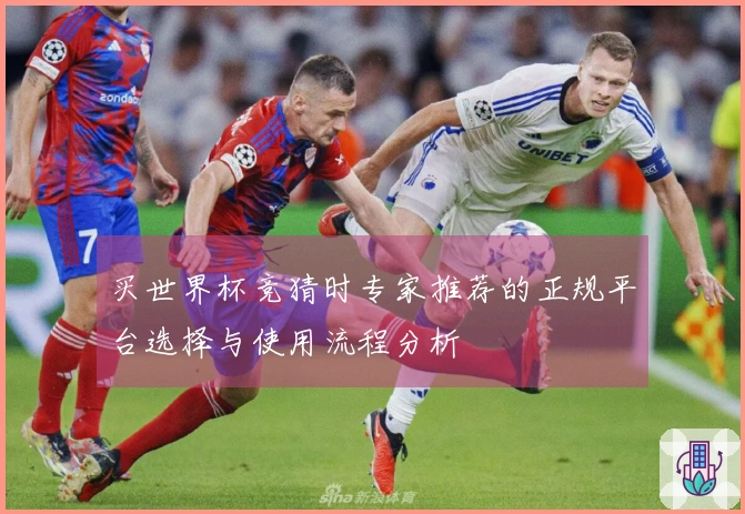 买世界杯竞猜时专家推荐的正规平台选择与使用流程分析