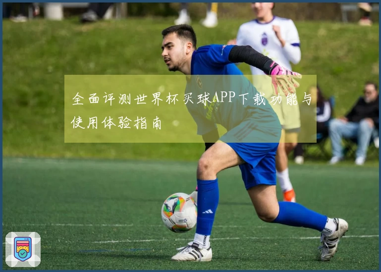 全面评测世界杯买球APP下载功能与使用体验指南
