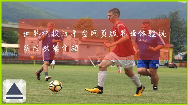 世界杯投注平台网页版界面体验说明与功能介绍