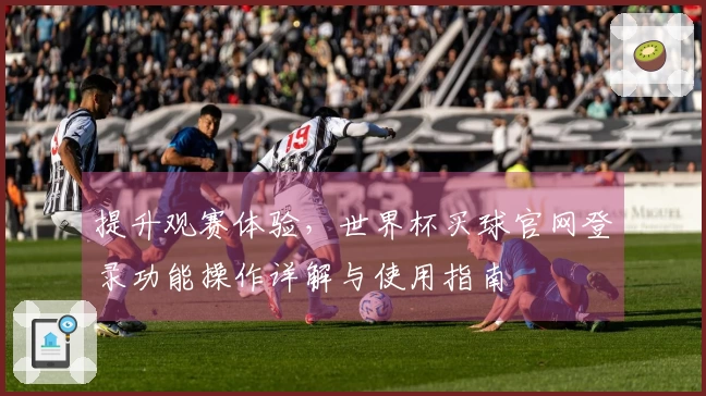 提升观赛体验，世界杯买球官网登录功能操作详解与使用指南