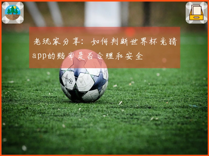 老玩家分享：如何判断世界杯竞猜app的赔率是否合理和安全