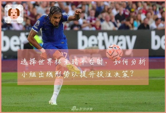 选择世界杯竞猜平台时，如何分析小组出线形势以提升投注决策？