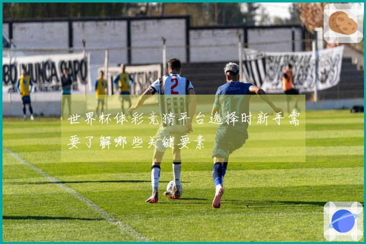 世界杯体彩竞猜平台选择时新手需要了解哪些关键要素