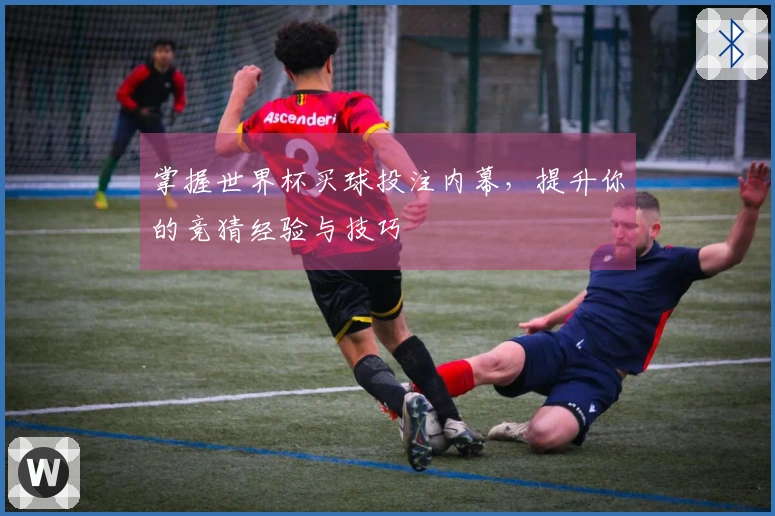 掌握世界杯买球投注内幕，提升你的竞猜经验与技巧