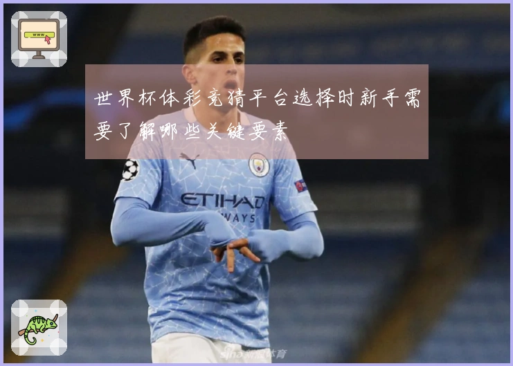世界杯体彩竞猜平台选择时新手需要了解哪些关键要素